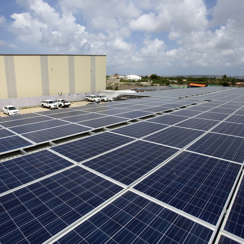 AB Car Rental draait volledig op zonnepanelen en wast haar auto’s met gefilterd regenwater. 