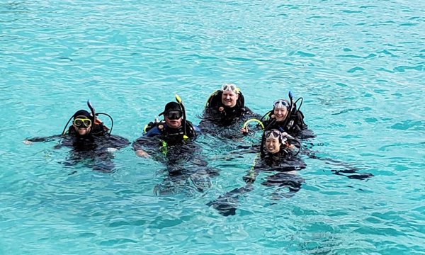 Diving on Bonaire: An Underwater Paradise to Explore