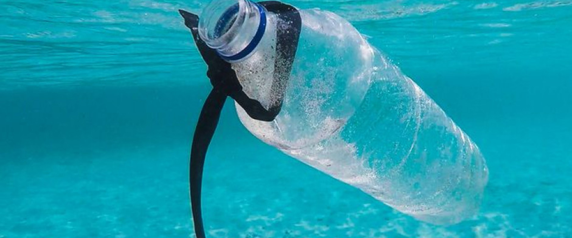 4 tips for reducing plastic use on Bonaire