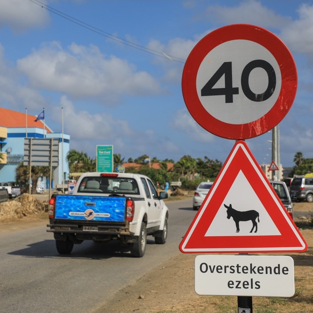 Snelheid Bonaire