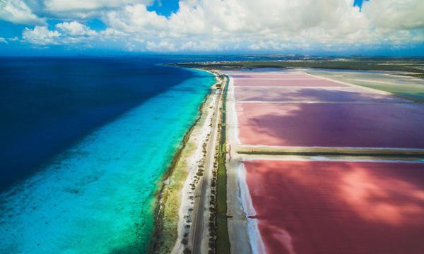 Current Travel Policy for Bonaire