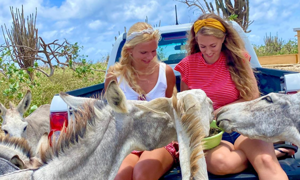 Discover Bonaire with a pick-up truck