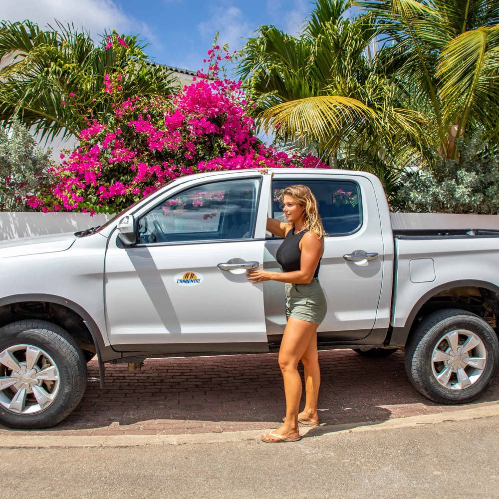 Pick Up Truck, manual