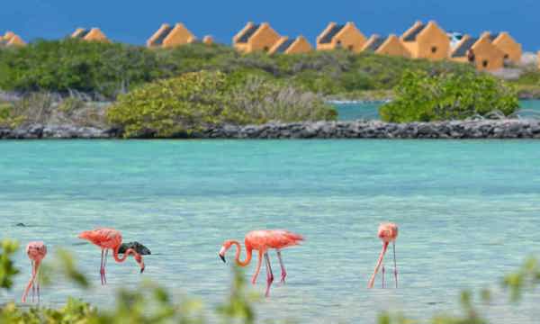 About Bonaire