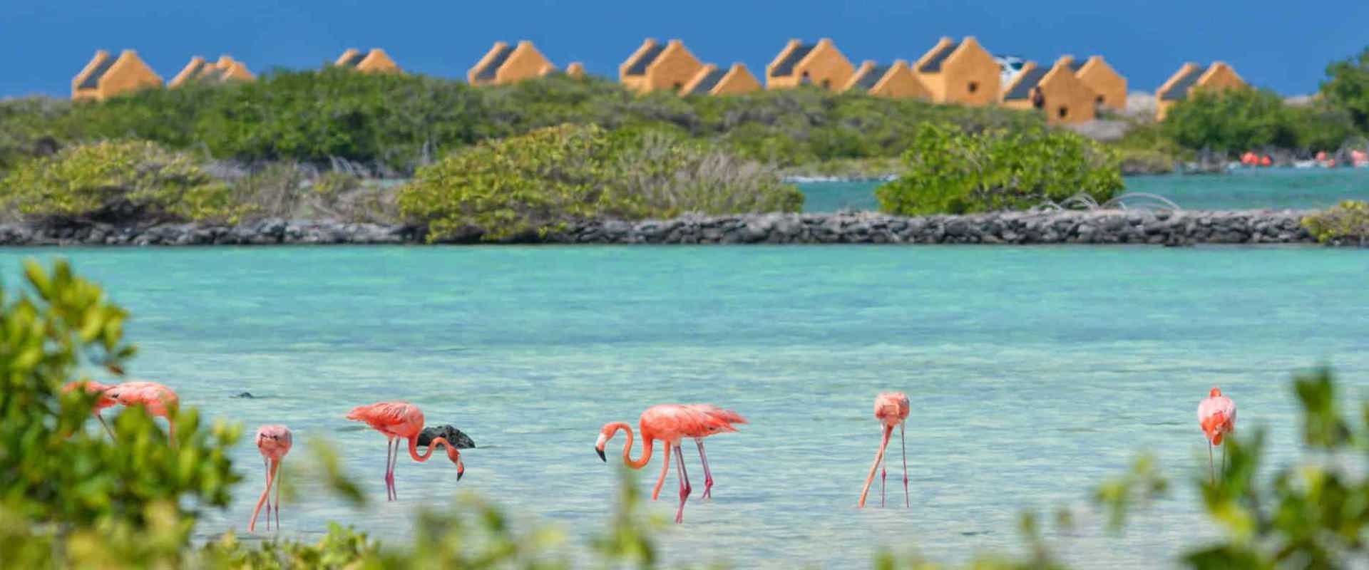 About Bonaire